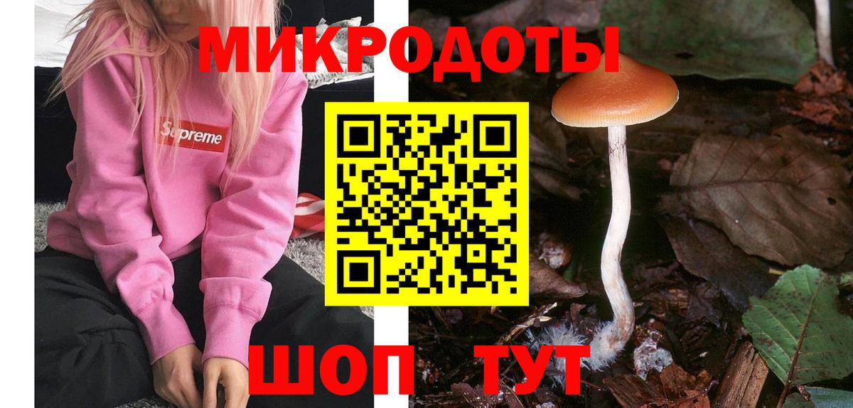 Псилоцибиновые грибы Magic Shrooms  Вход с VPN  Минусинск 