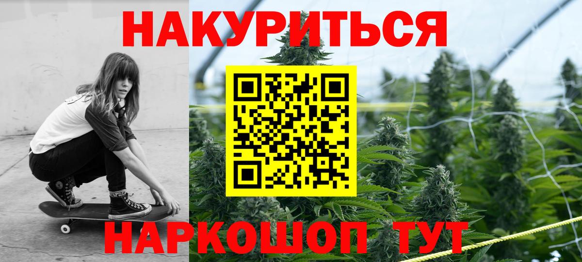 Конопля сатива  Каннабис план  Вход с VPN  Бошки Шишки планчик  Конопля AK-47  Минусинск 